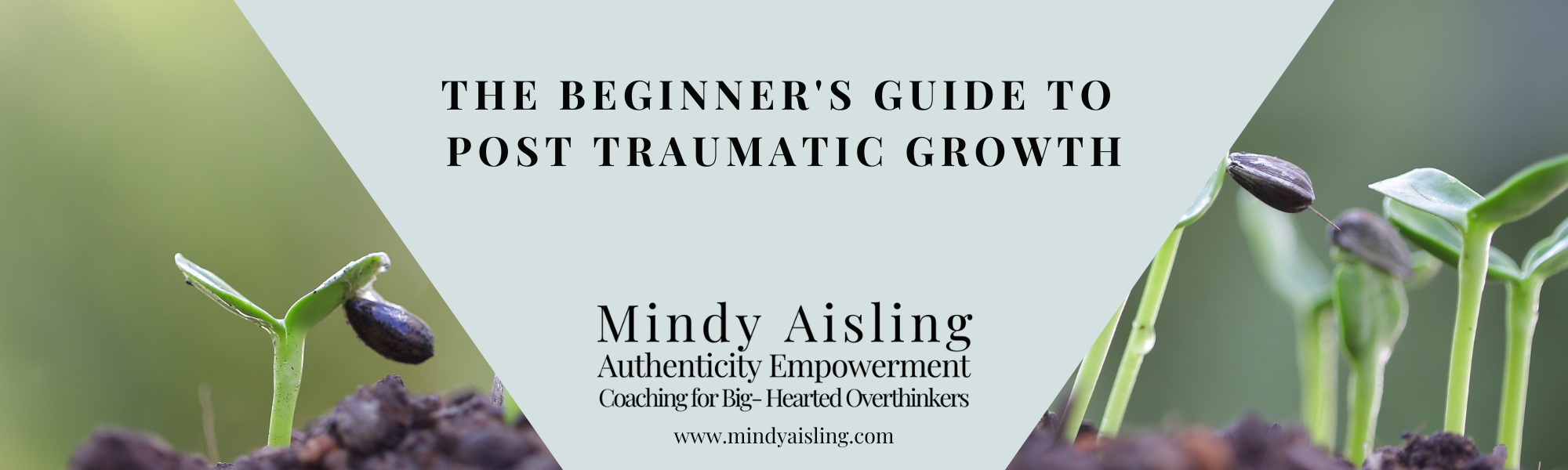 The Beginner's Guide to Post Traumatic Growth